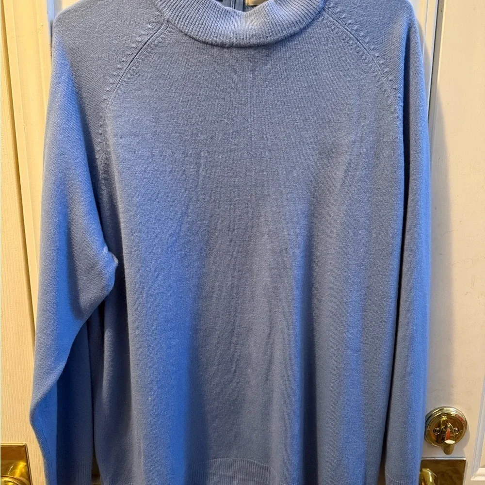 NWT Carolyn Taylor Sweater